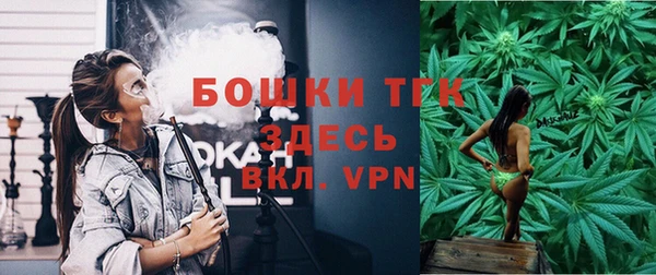 mdpv Новозыбков