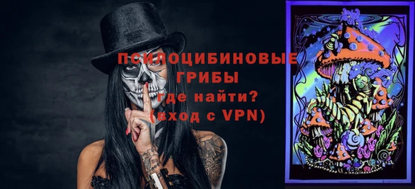 mdpv Новозыбков