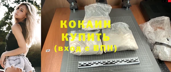mdpv Новозыбков