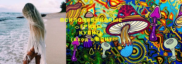 mdpv Новозыбков