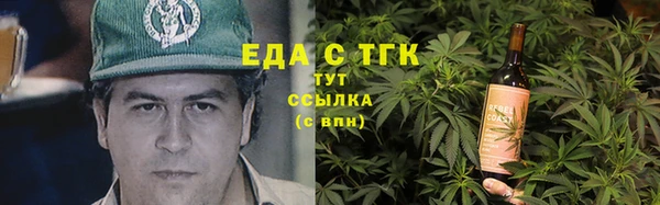 индика Ельня