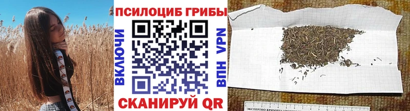 кракен маркетплейс  Закаменск  Галлюциногенные грибы Magic Shrooms 