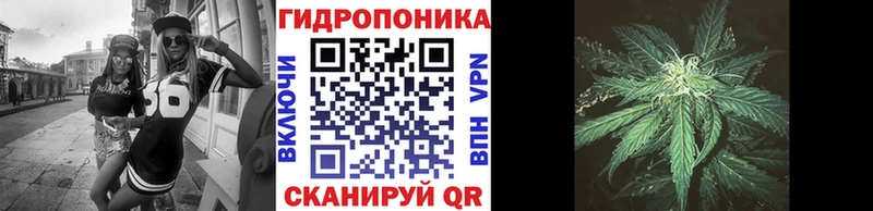 KRAKEN маркетплейс  Закаменск  МАРИХУАНА THC 21% 